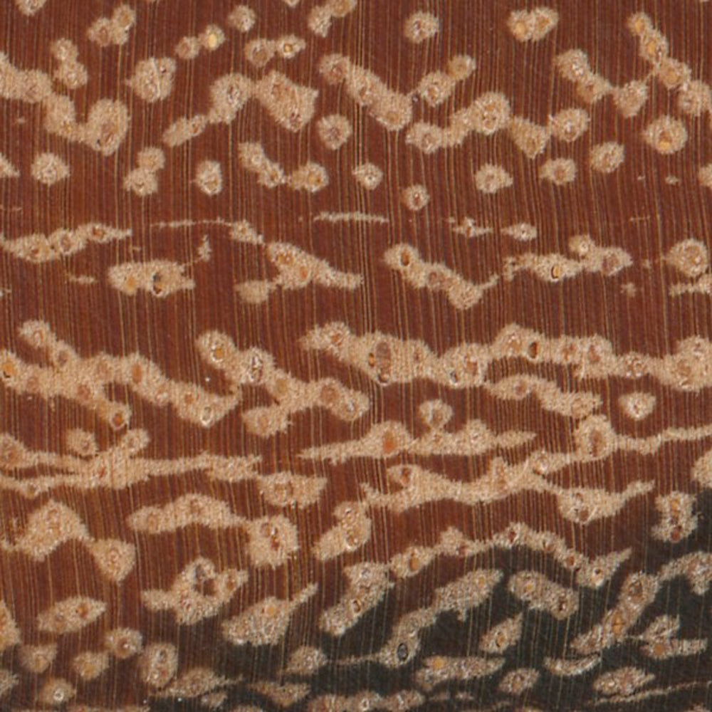 Marblewood for knife handle (2/pcs) 1/2" x 2" x 6" 